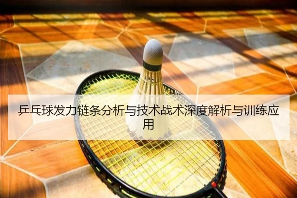 乒乓球发力链条分析与技术战术深度解析与训练应用
